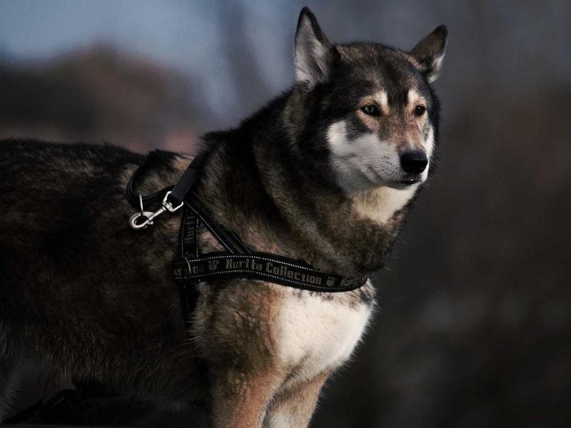 Ayden Property Management photo 3