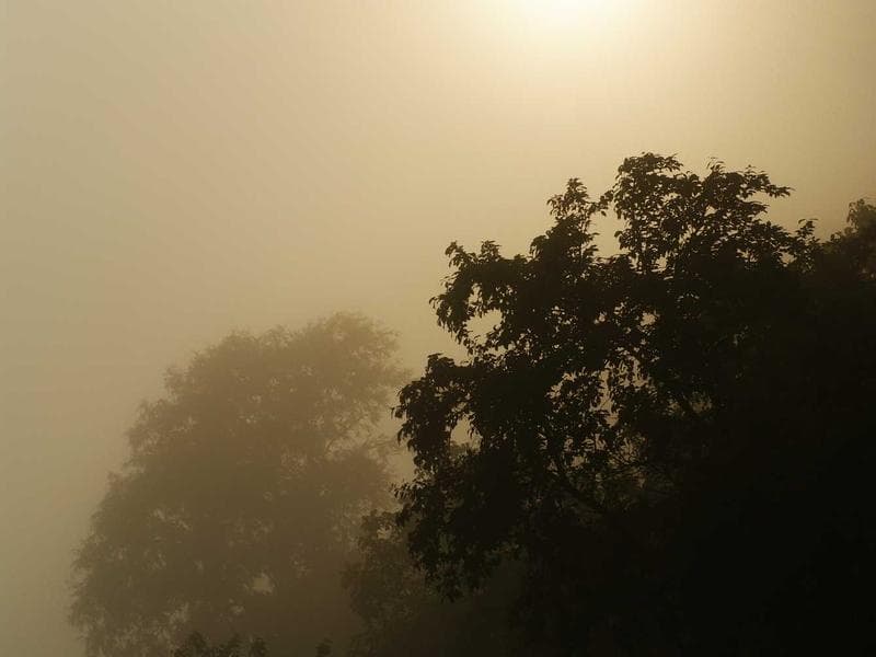 Tar River Photography photo 3